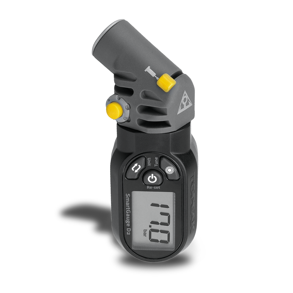 SmartGuage D2